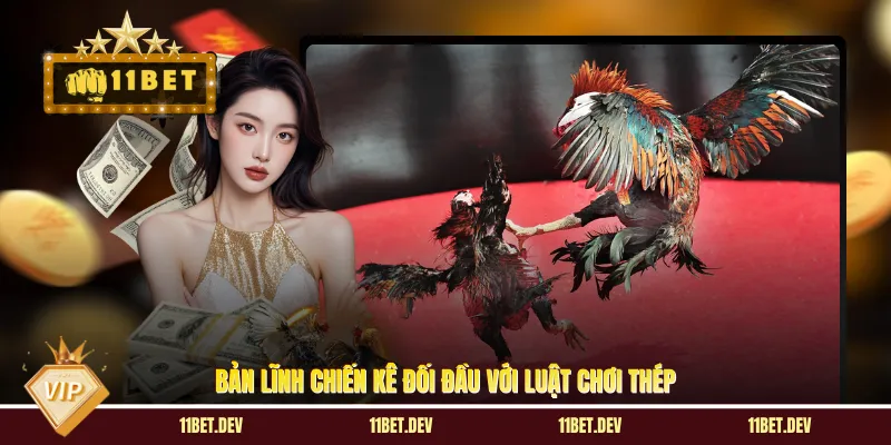 Bản lĩnh chiến kê đối đầu với luật chơi thép