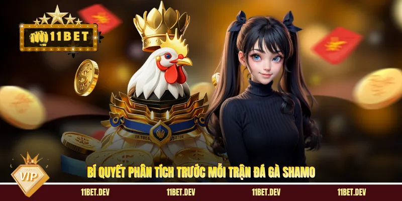Bí quyết phân tích trước mỗi trận đá gà Shamo
