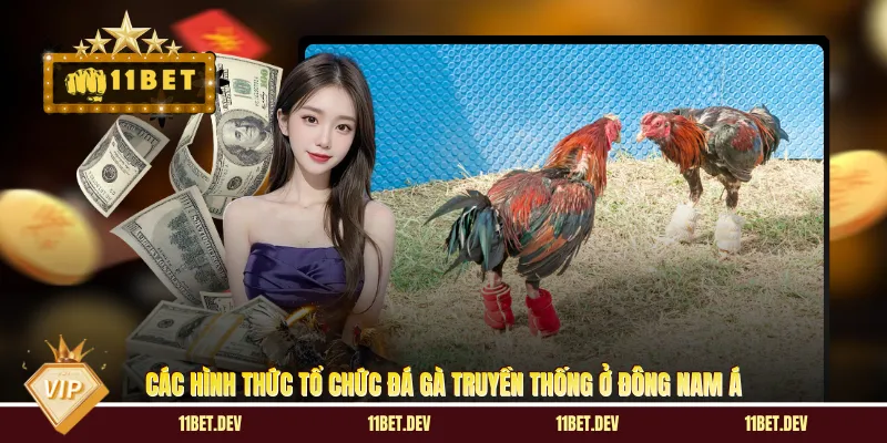 Các hình thức tổ chức đá gà truyền thống ở Đông Nam Á