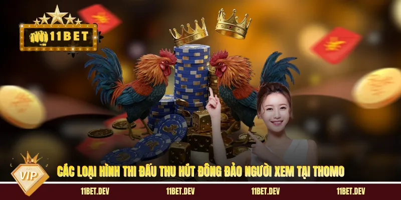 Các loại hình thi đấu thu hút đông đảo người xem tại Thomo