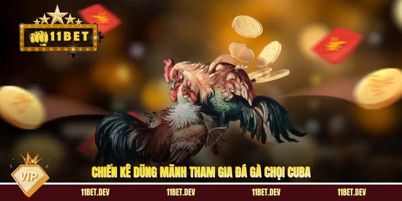 Chiến kê dũng mãnh tham gia đá gà chọi Cuba