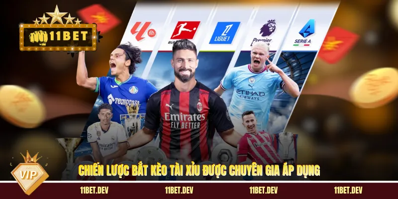 Chiến lược bắt kèo tài xỉu được chuyên gia áp dụng