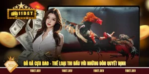 Đá Gà Cựa Dao - Thể Loại Thi Đấu Với Những Đòn Quyết Định