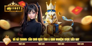 Đá Gà Thomo: Sân Chơi Kịch Tính & Kinh Nghiệm Cược Siêu Hay