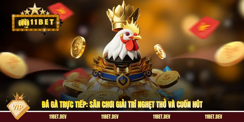 Đá Gà Trực Tiếp: Sân Chơi Giải Trí Nghẹt Thở Và Cuốn Hút