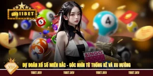 Dự Đoán Xổ Số Miền Bắc – Góc Nhìn Từ Thống Kê Và Xu Hướng