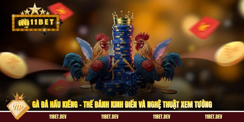 Gà Đá Hầu Kiềng - Thế Đánh Kinh Điển Và Nghệ Thuật Xem Tướng