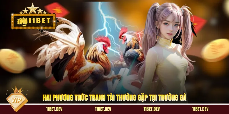 Hai phương thức tranh tài thường gặp tại trường gà 