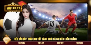 Kèo Tài Xỉu 1 Trái: Chi Tiết Cách Chơi Và Soi Kèo Luôn Thắng