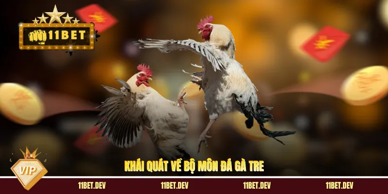 Khái quát về bộ môn đá gà tre