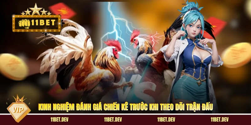 Kinh nghiệm đánh giá chiến kê trước khi theo dõi trận đấu