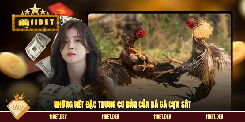 Những nét đặc trưng cơ bản của đá gà cựa sắt