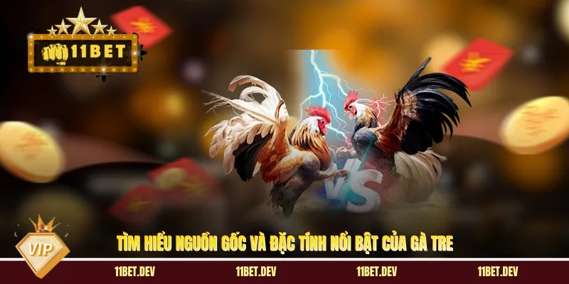 Tìm hiểu nguồn gốc và đặc tính nổi bật của gà tre