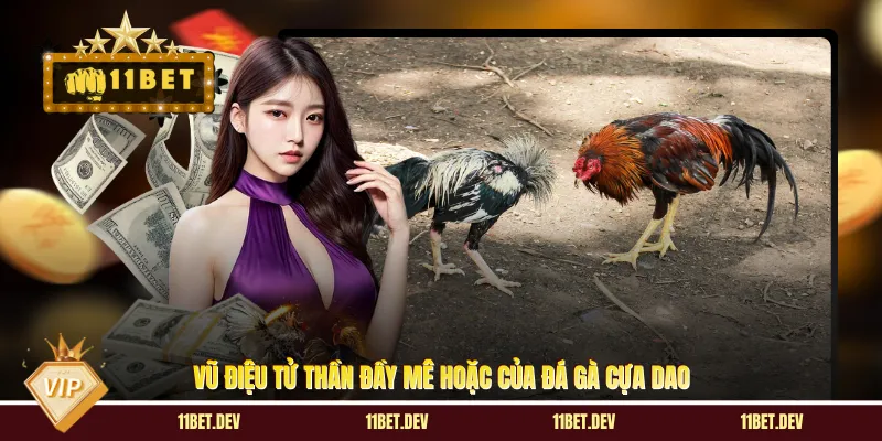 Vũ điệu tử thần đầy mê hoặc của đá gà cựa dao
