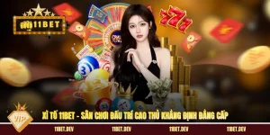 Xì Tố 11BET - Sân Chơi Đấu Trí Cao Thủ Khẳng Định Đẳng Cấp